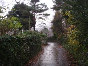 Lakes131109 191 Lakes131109 191