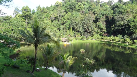 view rfom by room at the Greenview Resport, Kura Buri