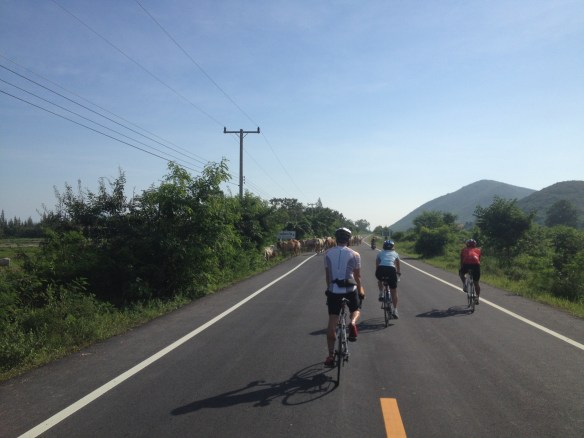 Just as the scenery starts getting a bit more varied......