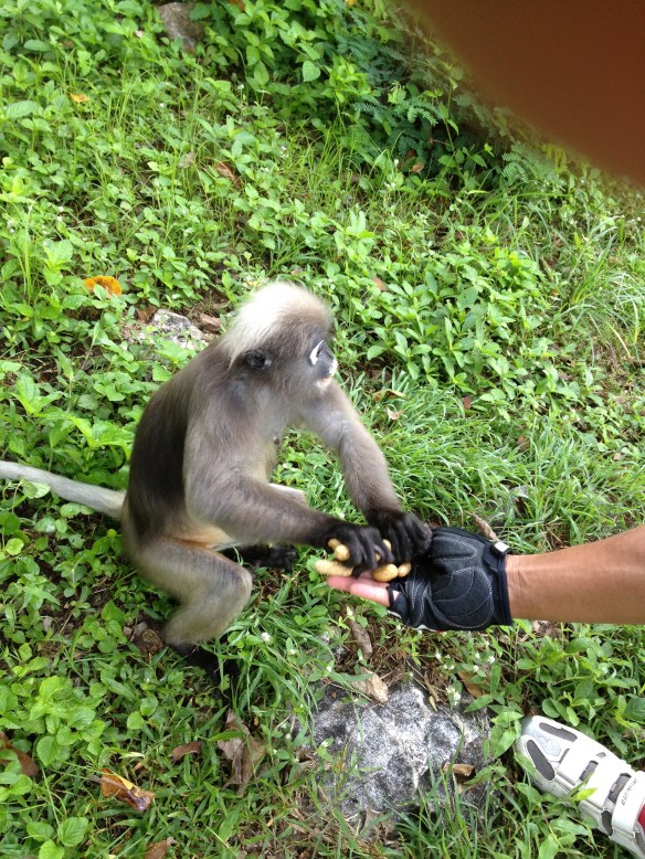 .....but soon were literally eating out of the palms of our hands.