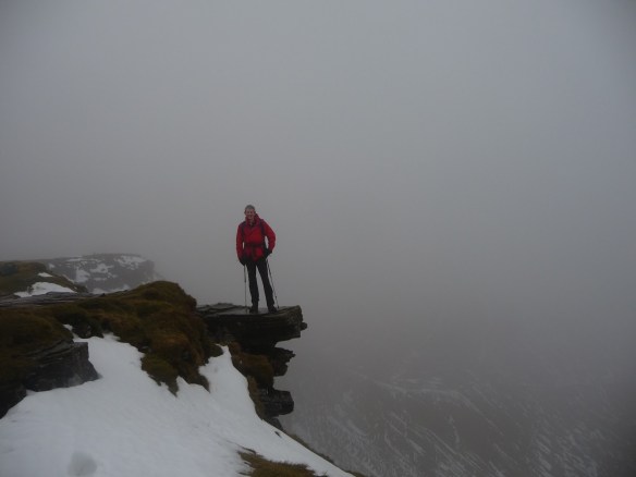 The Diving Board, Fan Y Big..