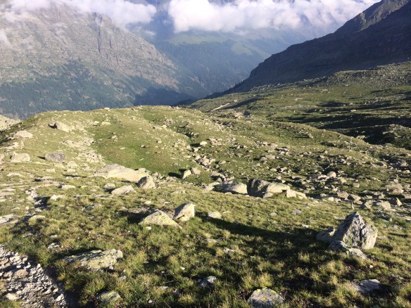 There are about 10 ibex in this picture somewhere. honest :)