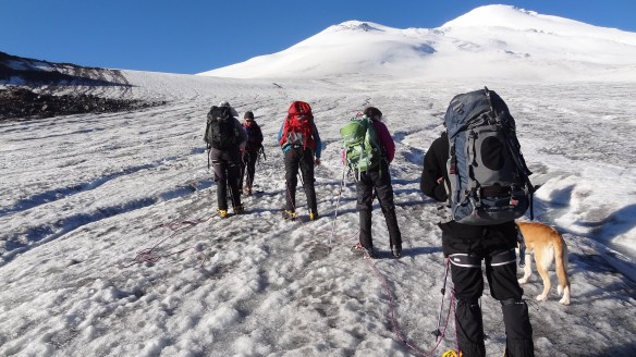 Setting off up the glacier, but where the heck did the dog come from?