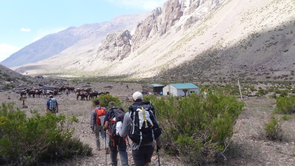 We finally reach camp just after the mules do.