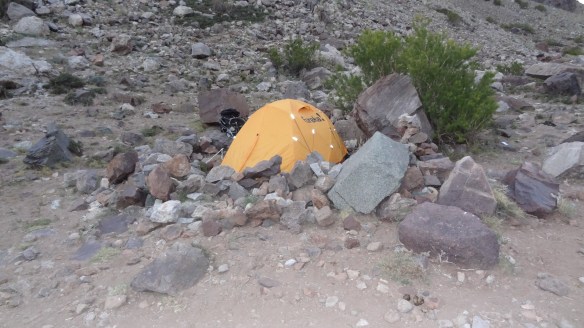 ....and even if you think conditions are good, as much shelter from the wind is crucial.