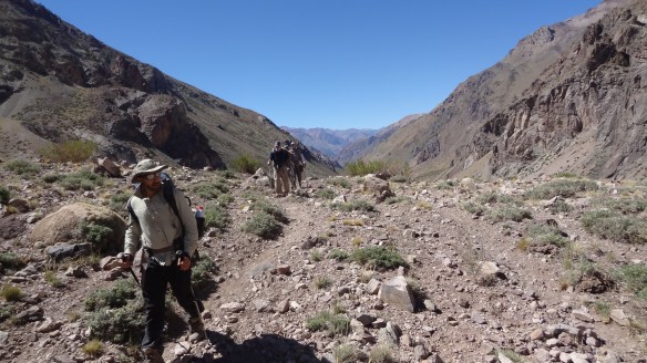The trek on up the dry and dusty Guanacos Valley continues....