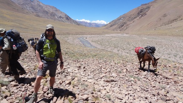 Still really hot as the valley opens up - even the mules are taking it easy..