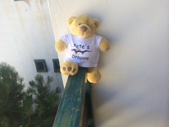 My "Pete's Dragons' Bear, back the day before in the Los Penitentes Hotel.