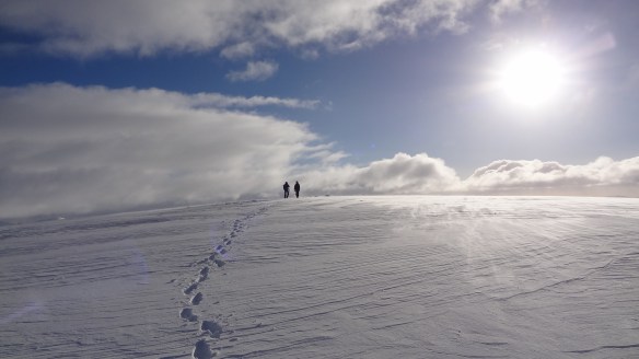 En route to the summit of Aonach Mor. Fabulous, isn't it? 