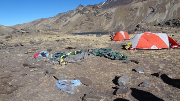 ....and that nature usually wins in these situations. 