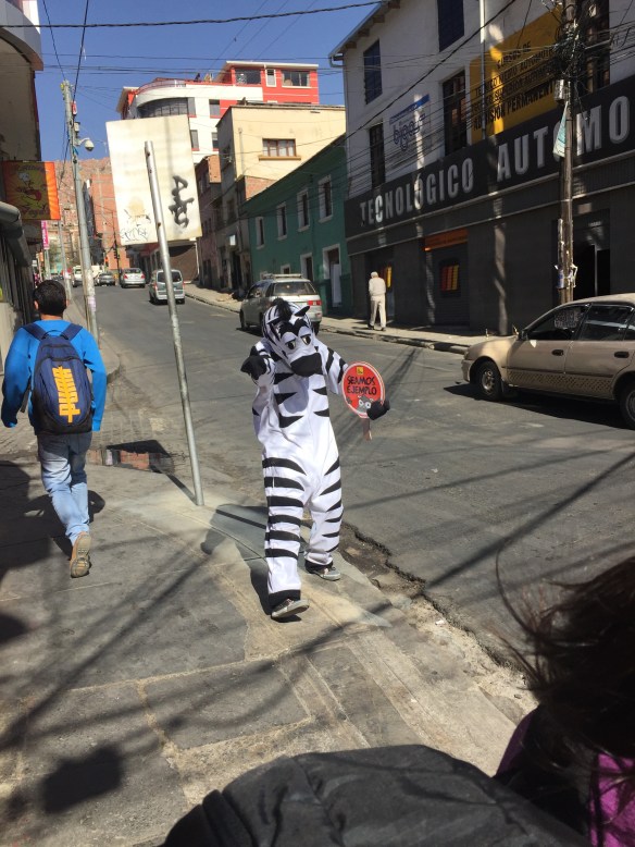 They use 'zebra crossings' too, but theirs are a little more animated than ours!