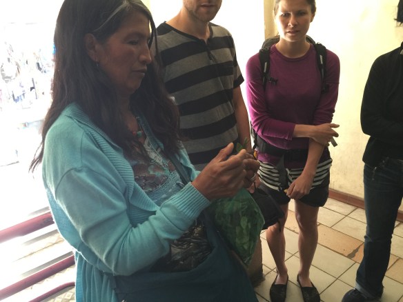 ....and being shown how to fold and chew them, by Rosemary our Almaya guide