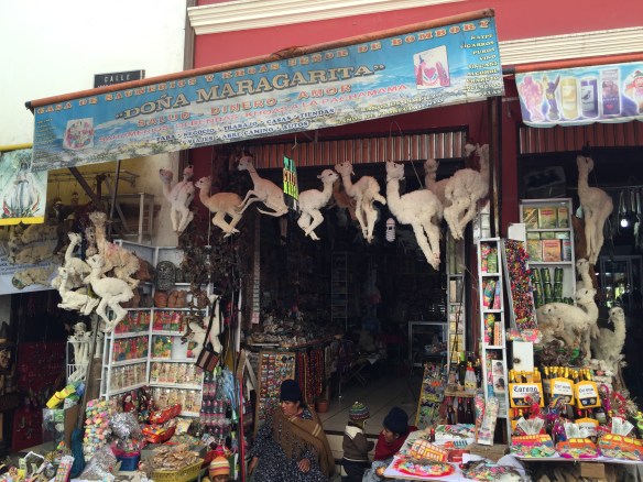 .....most of the shops contain offerings to Pachamama, the goddess of Mother Earth.