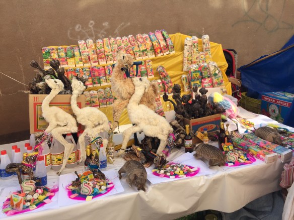 More llama foetuses and armadillos on display though I'm afraid.