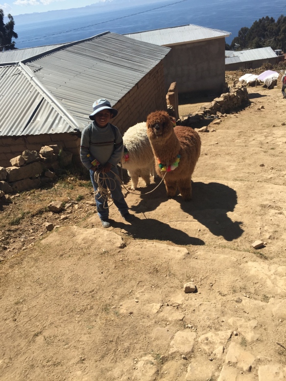 Local boy (who very enterprisingly charged me 2 Bolivianos for the privilege of taking his photograph) tasking his Alpaca for walkies.