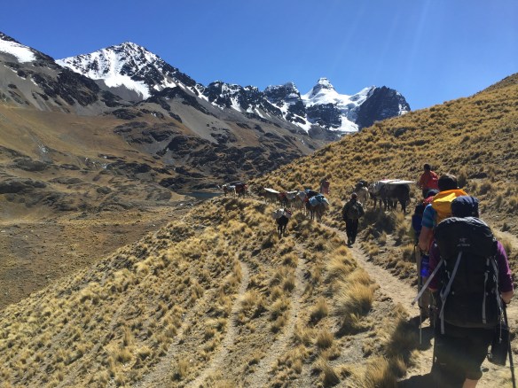 And the mule train brings in all of our equipment and supplies.